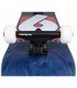 Skateboard Completo Birdhouse Stage 3 B Logo 7.75" Azul/Rojo