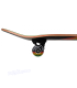 Skateboard Birdhouse Stage 3 Sunset Rasta 31x7.75"  shiner