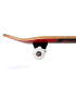 Skateboard Completo Tony Hawk SS 180+ Bird Logo 31x7.5"