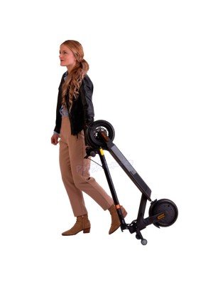 Ruedas Trolley Para Patinete Eléctrico
